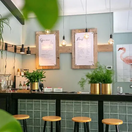 Dom wakacyjny Ted Tiny House *