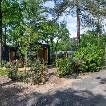 Ted Tiny House