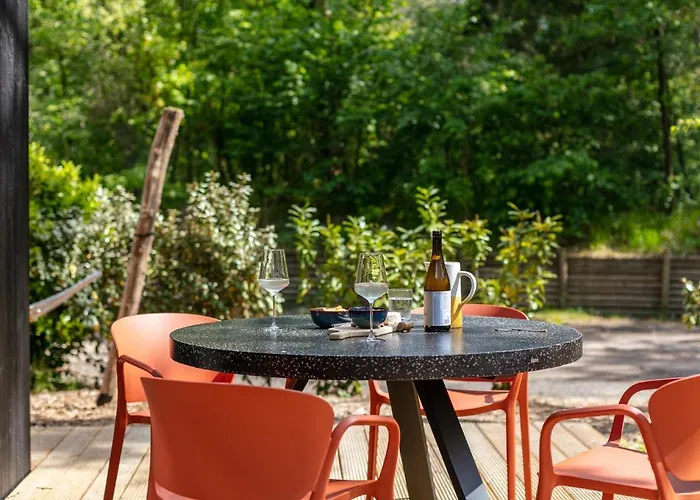 Ted Tiny House Nunspeet